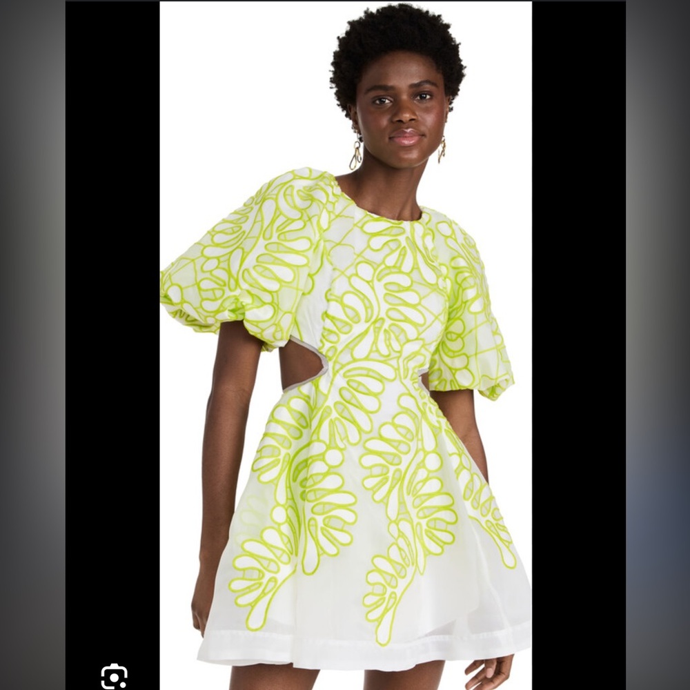 Aje Botanical Appliqué Mini Dress